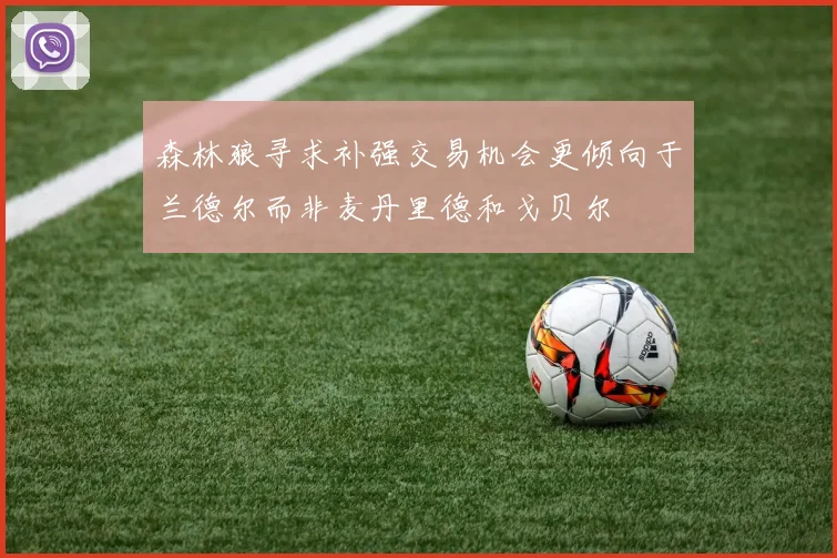 森林狼寻求补强交易机会更倾向于兰德尔而非麦丹里德和戈贝尔